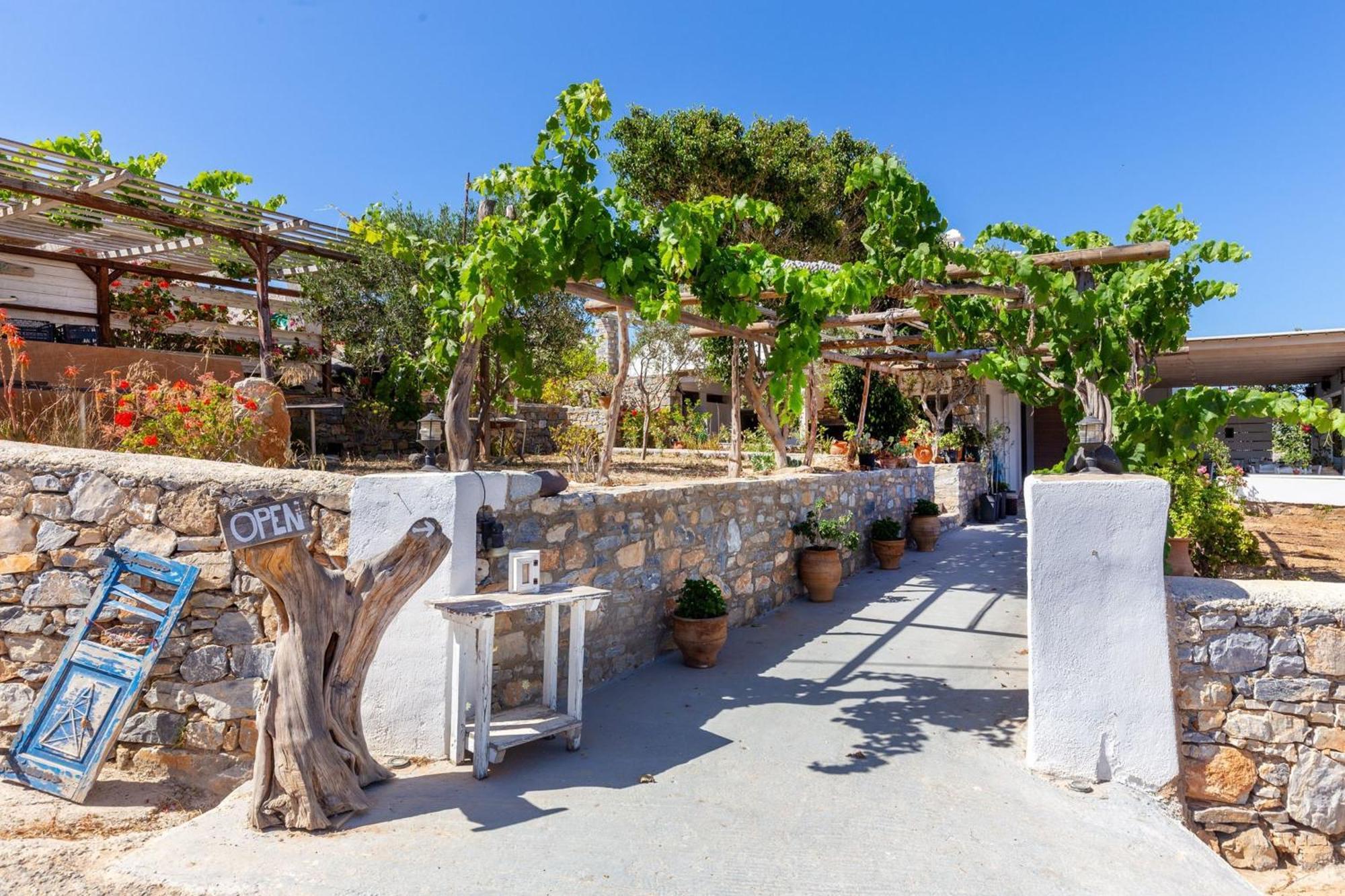 Harama Hotel Schinousa Schoinoussa 外观 照片